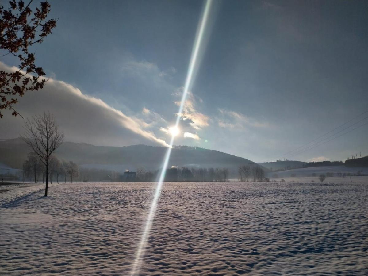 Ferienhaus Lena Im Sauerland Direkt Am Hennesee เมสเชอเดอ ภายนอก รูปภาพ