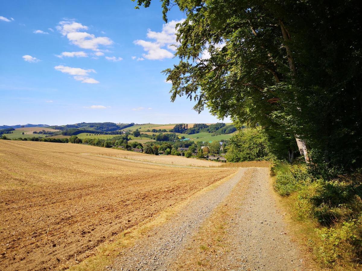 Ferienhaus Lena Im Sauerland Direkt Am Hennesee เมสเชอเดอ ภายนอก รูปภาพ