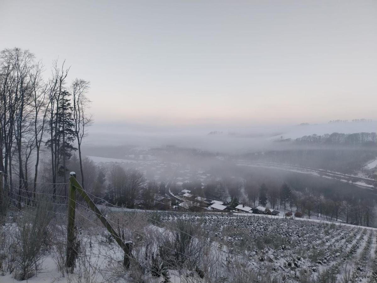 Ferienhaus Lena Im Sauerland Direkt Am Hennesee เมสเชอเดอ ภายนอก รูปภาพ